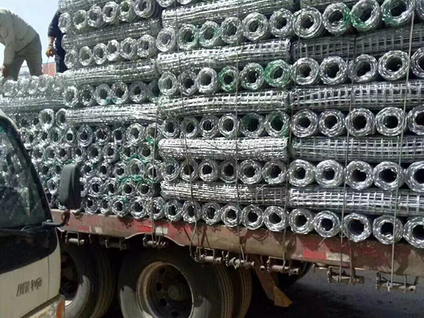 青海鄭經理經緯網發貨